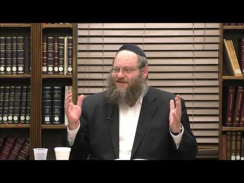 Tanya Chapter 49 Part 2 - Rabbi Naftali Silberberg