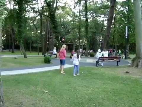 Park Przyjaciół Pustkowa... a noclegi w Matex :D