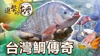 [問卦] 全聯吳郭魚是哪家廠商養殖的？