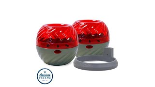 FlyFix Set of 2 Fruit Fly Catcher