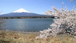 preview picture of video '山梨県　河口湖　長崎公園から富士山と桜　その3'