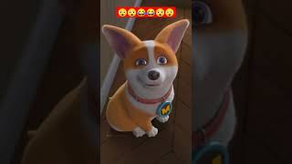 Download lagu m nikla gadi le kπ- comedy videos | funny videos #shorts #trending #youtubeshorts #viral mp3 Download lagu m nikla gadi le kπ- comedy videos | funny videos #shorts #trending #youtubeshorts #viral mp3