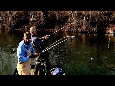 Fishing for HUGE Freshwater Striped Bass from a Tiny Aluminum Boat