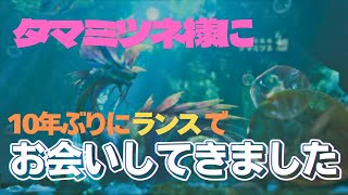 あの頃はランスがおもしろいって知らなかった、3DS時代以来のミツネに会ってきた古参ハンター  【モンハンワイルズ】【MHWS】