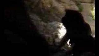 Cheile Turzii - Grota lui Hili / Tordai hasadek