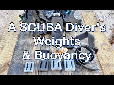Weights and Buoyancy 101 for SCUBA Divers