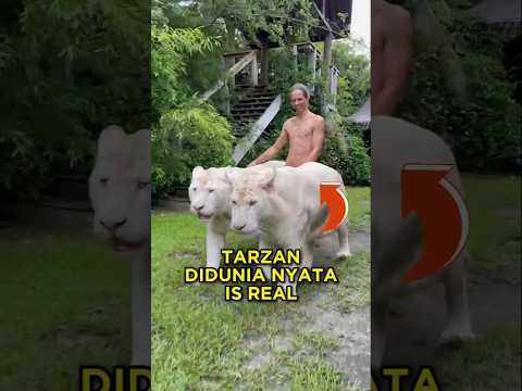 Pria Ini Bertingkah Layaknya Tarzan Di Dunia Nyata 😯✨ #shorts