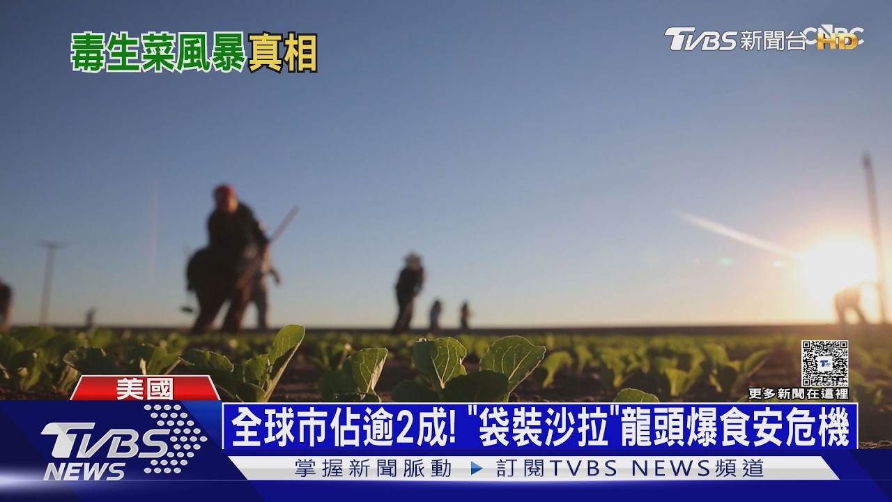 全球市佔超過兩成！「袋裝沙拉」世界龍頭爆食安危機