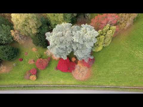 Number 14 Discover Kew Gardens Nature's Hidden Gem! Top 20 Attractions London 2024