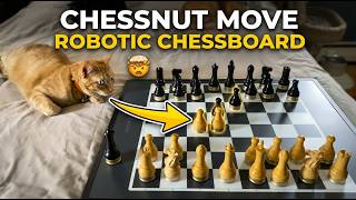 Chessnut Move Most Advanced Robotic Chessboard Tested 🟡 Gadgetify