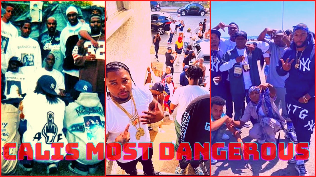 Who are the Nutty Blocc Compton Crips?|The Story of Compton's MOST notorious crip gang| NBCC VS ATF