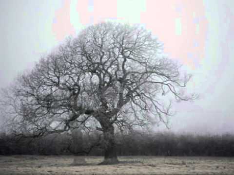 Amniamnyz - Depresija ir sapnas