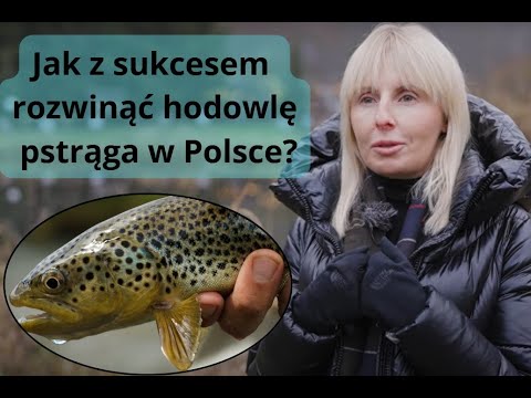 Kobieca siła pozwala płynąć pod prąd! Jak z sukcesem rozwinąć hodowlę pstrąga w Polsce?