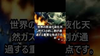 トランプ氏、石油不足を突き放す#トランプ #石油 #ホルムズ海峡 #国際情勢 #イラン#ニュース #ニュース速報 #速報 #最新ニュース #話題