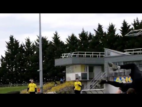 D1 Open 2016 - Sun / Friz'Toi