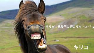 そうだ！凱旋門に行こう！#3　#ダービースタリオン04　#競馬　#ゲーム実況　#kirico　#のんびり実況