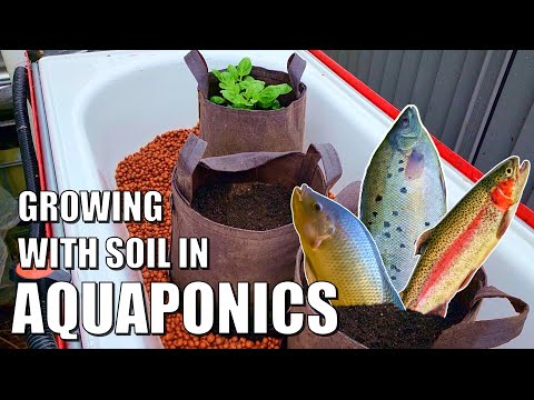 SIMPLE Dual Root Zone Aquaponics Grow Beds