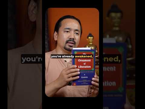 This Is Why You Forget Your Buddha Nature