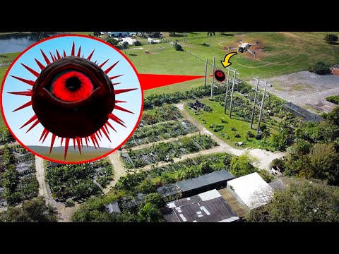DRONE CATCHES HORROR MR SUN SPRUNKI IN THE FOREST IN REAL LIFE! | INCREDIBOX SPRUNKI