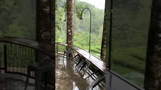 Download lagu GERIMIS SYAHDU DI CAFE PUNCAK | HALU STORY #shorts  #storyhalu #storyig #storywa mp3 Download lagu GERIMIS SYAHDU DI CAFE PUNCAK | HALU STORY #shorts  #storyhalu #storyig #storywa mp3