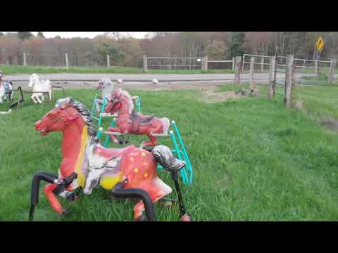 Ponyhenge Drone Tour - Lincoln Ma