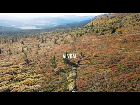 Alvdal Singletrack
