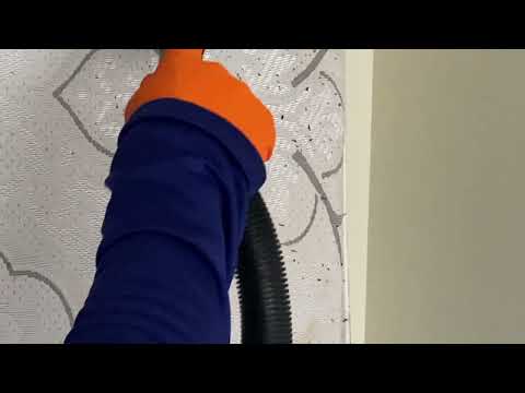 Homeowner Tired of Dealing with Bed Bugs in Trenton, NJ