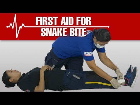 How To Treat or give First Aid to a Snake Bite? #Lifesaver #FirstAid