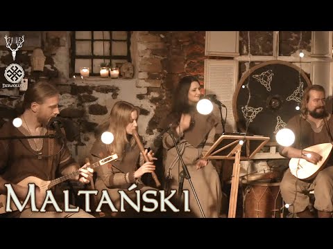 Dziwoludy - Maltański (Kuźniczysko 12.2020)