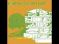Kind of Like Spitting - Little Time Bomb 