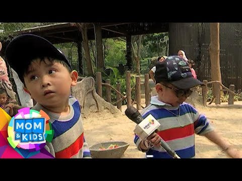 Petualangan Daus Mini Dan Babang Ical Ke Fauna Land - Mom & Kids (20/10)