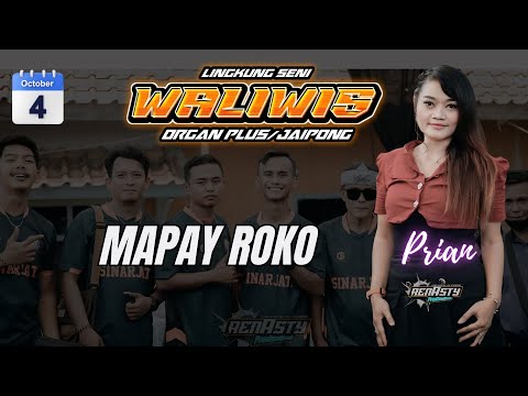 MAPAY ROKO MEDLEY VOC PRIAN || WALIWIS MUSIC EDITION 4 OCTOBER 2025 LIVE BLOK PAMENGKANG DS BIYAWAK