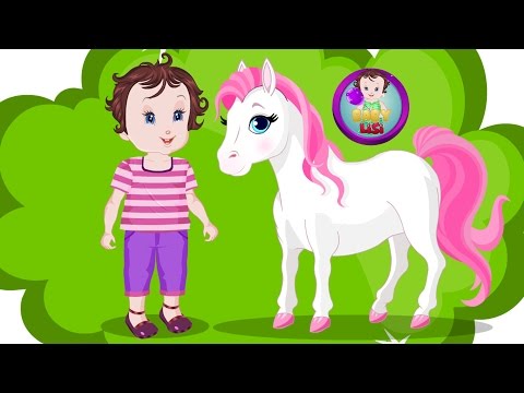 Baby Lisi Pony Care Video