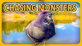 One Last Trip. Fishing For The Last of The River Monsters