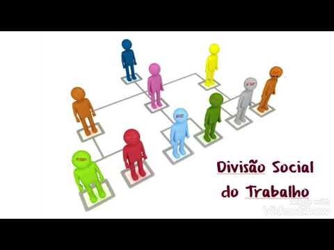 Trabalho de Sociologia - Divisão Social do Trabalho - José Gabriel da Silva