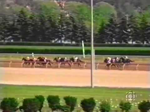 1997 Queen's Plate   AWESOME AGAIN
