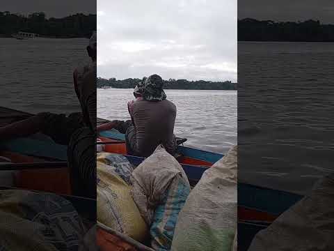 tratando peixe #pescaria Caracaraí Roraima