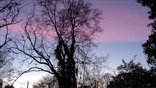 A Beautiful Platter Vlog