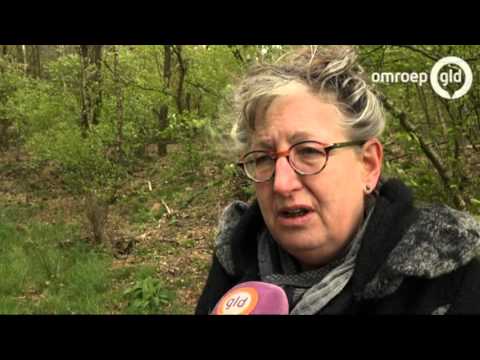 GLD VANDAAG 29 april 2016 - Omroep Gelderland