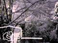 Winter Snow Song - Audrey Assad with Chris ...