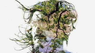 Bibio - Old Graffiti