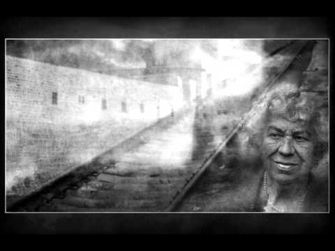 Mr Insulation   Simeni Ka Hotam