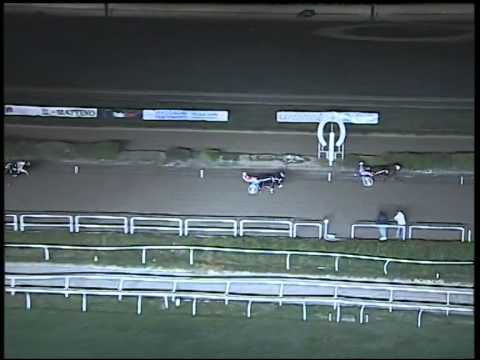 Trotto 02/11/2014 - corsa minitrotter