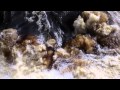 Monsterman NEW OFFICIAL TRAILER