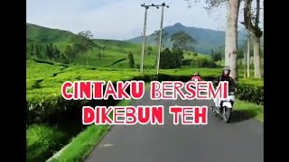 Download lagu FTV Terbaru Cintaku bersemi di kebun teh🥰@sembarangchannel2187 mp3 Download lagu FTV Terbaru Cintaku bersemi di kebun teh🥰@sembarangchannel2187 mp3