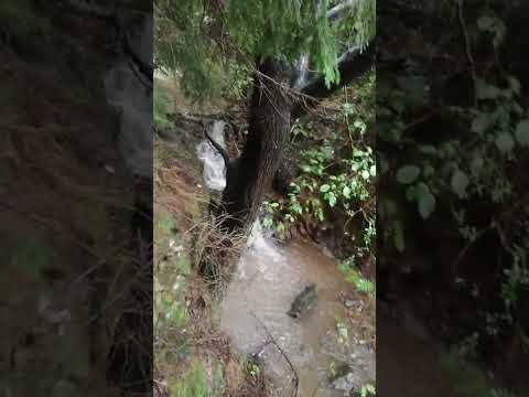 Mănăstireni -România.