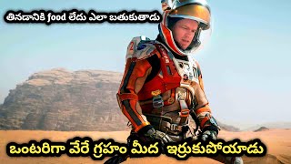 Stuck on Mars alone how did 600 Days survive? | movie explained in telugu