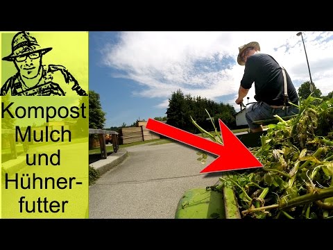 Free compost + chicken feed + mulch