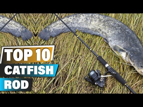Best Catfish Rods In 2025 - Top 10 Catfish Rod Review