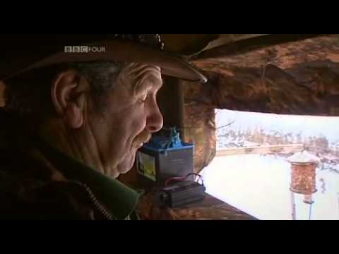 Harry Hills TV Burp.- S11E05